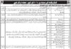 Girls Cadet College Teaching & Non Teaching Jobs 2021
