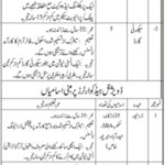 Sindh Health Care Commission Jobs 2021