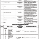 Faculty Staff at Rahim Yar Khan Medical and Dental College