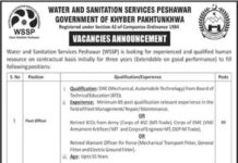 Water & Sanitation Services Peshawar WSSP Jobs 2021