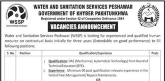 Water & Sanitation Services Peshawar WSSP Jobs 2021