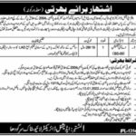 AI Technician job for Disabled Persons