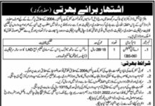 AI Technician job for Disabled Persons