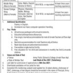 Army Public School and College jobs 2021