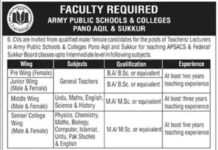 Army Public School and College jobs 2021