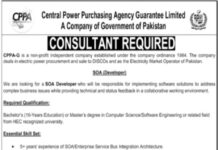 Central Power Purchasing Agency CPPA Jobs 2021