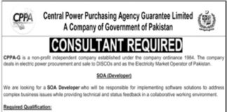 Central Power Purchasing Agency CPPA Jobs 2021