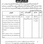 Computer Programmer jobs Interview