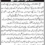 Culture Tourist Guide Jobs 2021