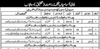 Agriculture Research Department Jobs In Punjab