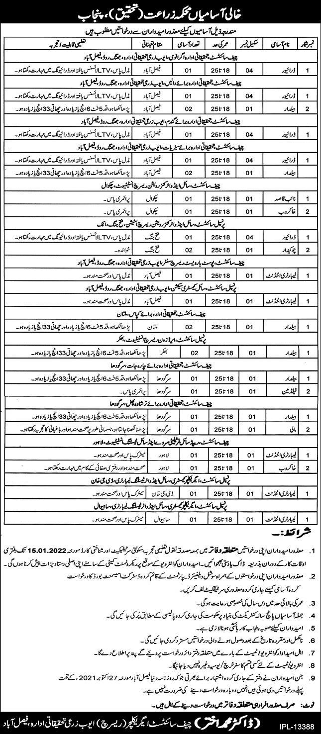 Agriculture Research Department Jobs In Punjab