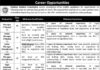 Pakistan Medical Commission Jobs