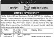Water and Power Development Authority Jobs