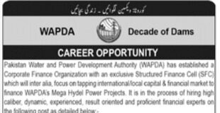 Water and Power Development Authority Jobs