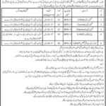 Gilgit Baltistan Scouts Center Gilgit Jobs 2022