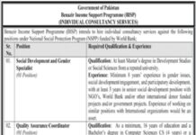Benazir Income Support Programme BISP Jobs