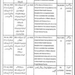 Nutrition Program Medical jobs