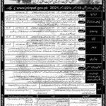 Pakistan Air Force Jobs