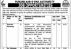 Management jobs in Punjab Authority