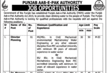 Management jobs in Punjab Authority