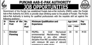 Management jobs in Punjab Authority