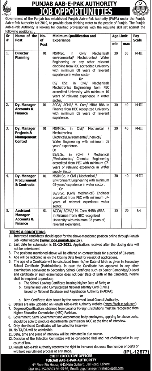Management jobs in Punjab Authority