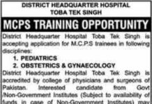 District Headquarter Hospital Toba Tek Singh Jobs