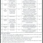 Project Director Management Jobs 2021