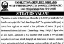 Jobs In University of Agriculture Faisalabad