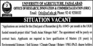 Jobs In University of Agriculture Faisalabad
