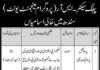 Sindh Public Sector Jobs