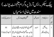 Sindh Public Sector Jobs