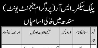 Sindh Public Sector Jobs
