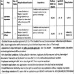 Punjab Mass transit Authority Jobs 2021