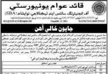 University of Engineering Science & Technology Jobs 2021