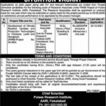 Research Associate jobs 2021