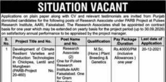 Research Associate jobs 2021