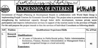 Planning and Development Board Punjab Jobs 2021