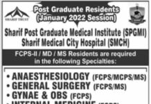 Medical Institute SPGMI Jobs 2021