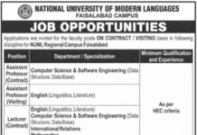 National University of Modern Languages Jobs 2021