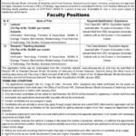 Lecturer Jobs 2022