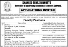 Lecturer Jobs 2022