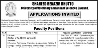 Lecturer Jobs 2022