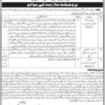 The Shaikh Ayaz University Jobs