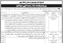 The Shaikh Ayaz University Jobs