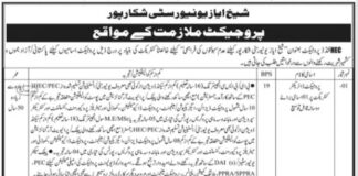The Shaikh Ayaz University Jobs