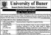 Jobs in The University of Buner