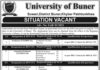 University of Buner Jobs 2022