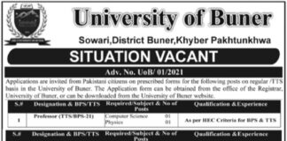 University of Buner Jobs 2022