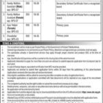 Directorate General Population Welfare KPK Jobs
